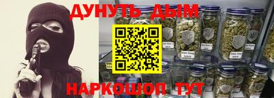 шишки Дубна