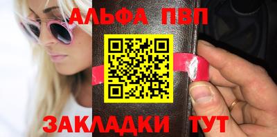 шишки Дубна