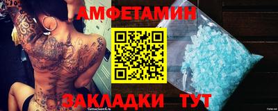 шишки Дубна