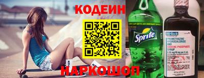 шишки Дубна