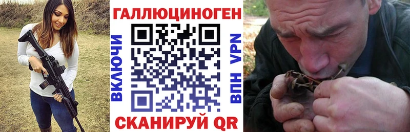 kraken зеркало  что такое   Новочеркасск  Галлюциногенные грибы ЛСД 