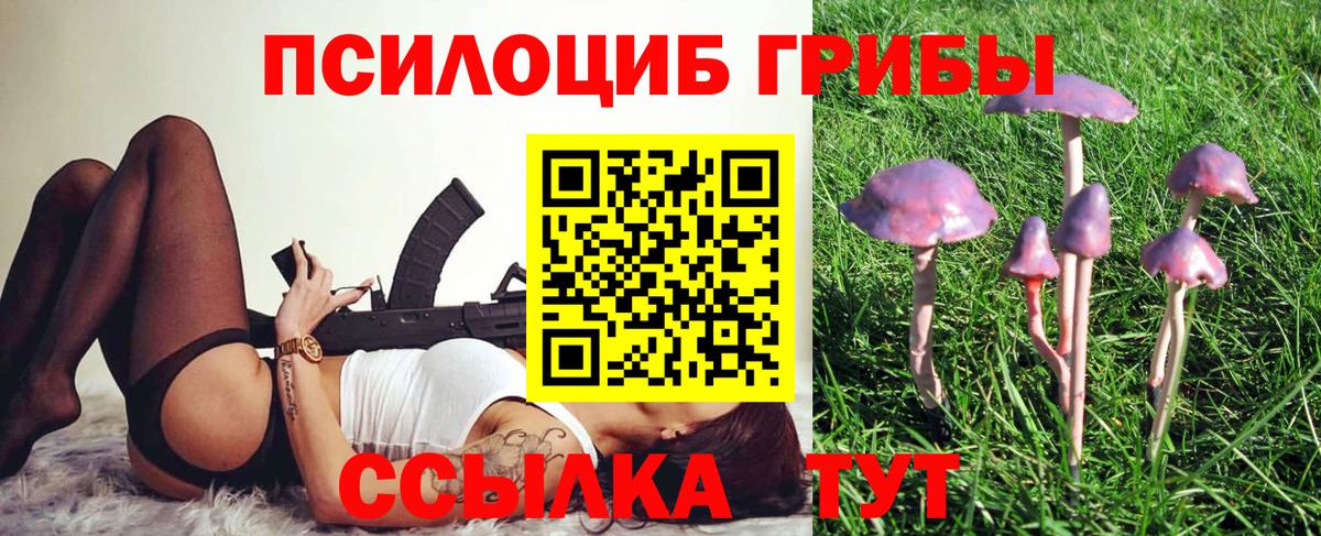 Новочеркасск  Псилоцибиновые грибы GOLDEN TEACHER  где продают   Вход с VPN 